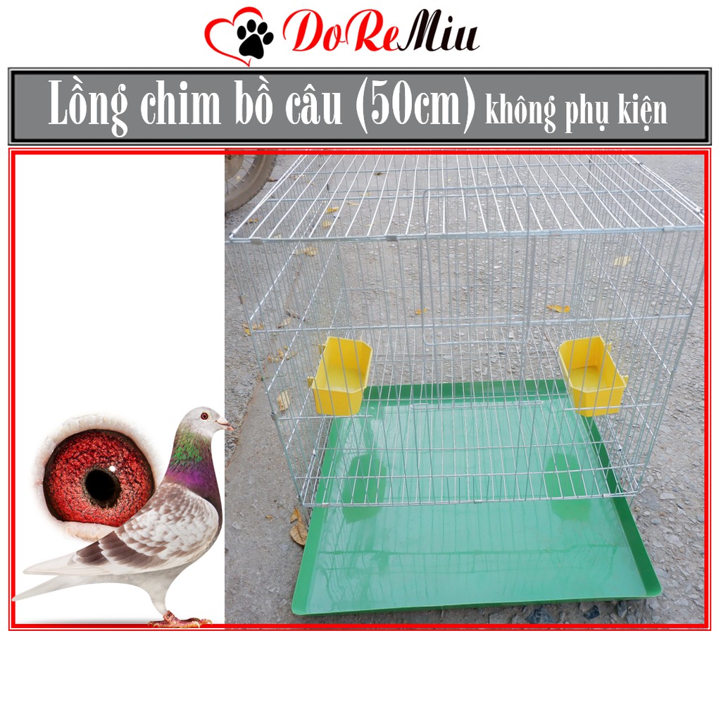 Doremiu- Chuồng chim bồ câu bằng kẽm loai rộng 50x50cm (không bao gồm phụ kiện) Nuôi bồ câu câu công nghiệp