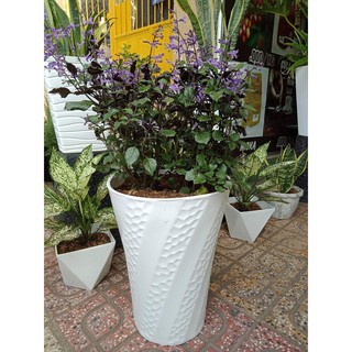 Chậu Nhựa Trồng Cây Hoa Văn Xoắn (30x20xH40cm) Bền Chắc, Rất Đẹp Trang Nhã, Trồng Hoa Kiểng, Cây Ăn Trái - Hàng VNXK