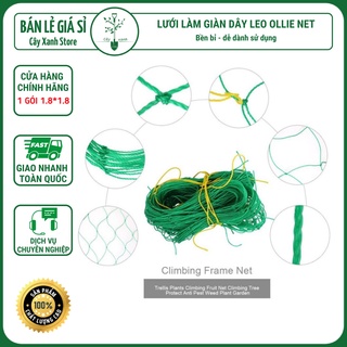 Lưới làm giàn dây leo lưới làm giàn dưa leo, hoa, đậu leo, giàn cây bền chắc