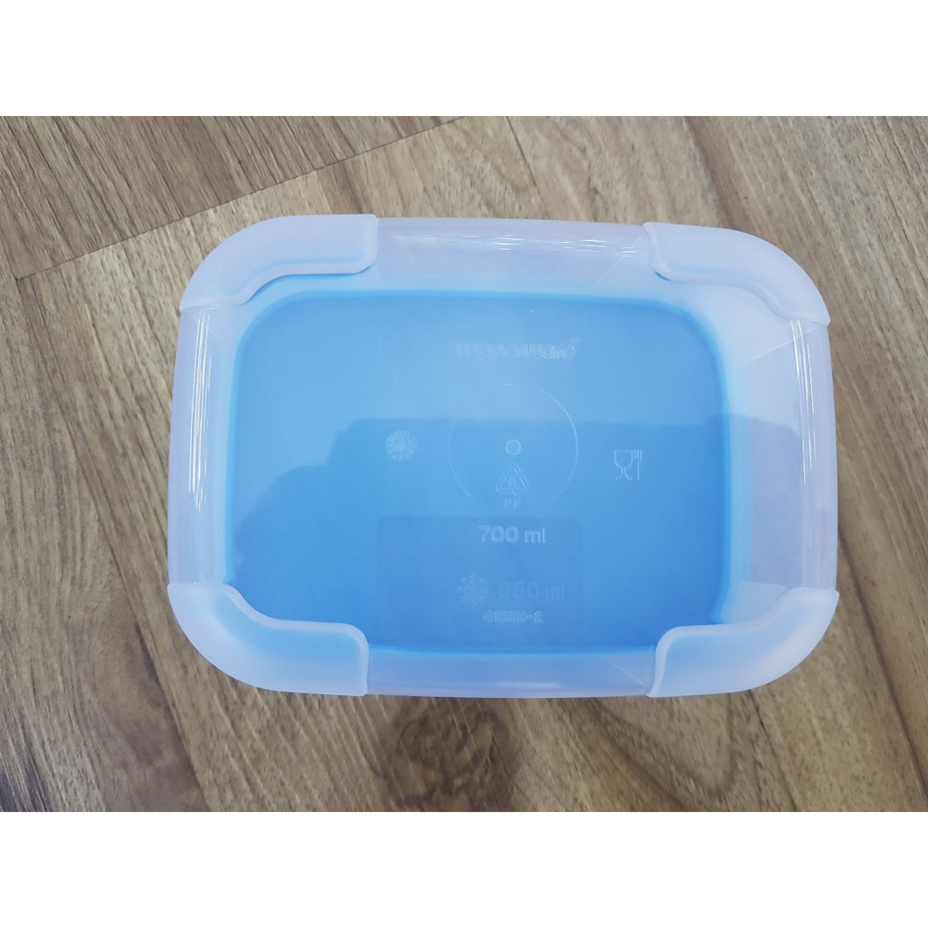 Hộp trữ đông FreezermateFreeship Tupperware 650ml