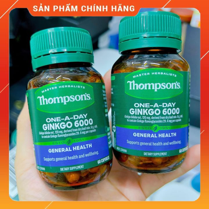 Thompson Ginkgo 6000, bổ não và tuần hoàn não Thompson