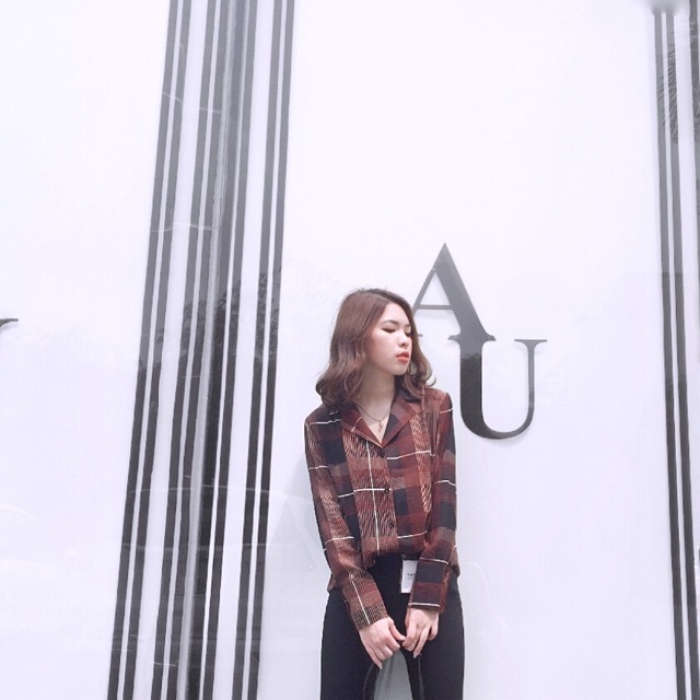 Somi kẻ