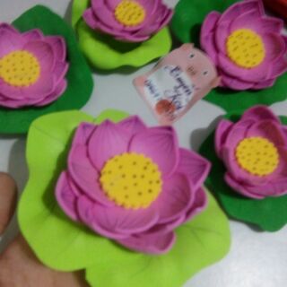 Hoa sen,lá sen rời