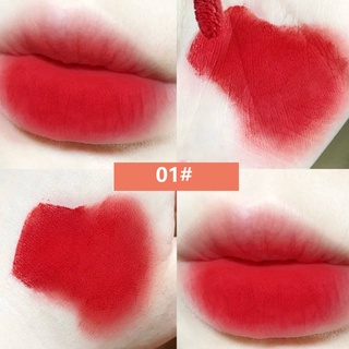 Set 5 Son Kem Lì Danmolu Chống Thấm Nước