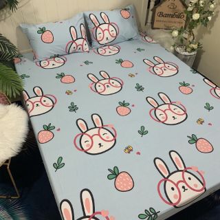 Ga chống thấm cotton 100% ( size ngoại cỡ)