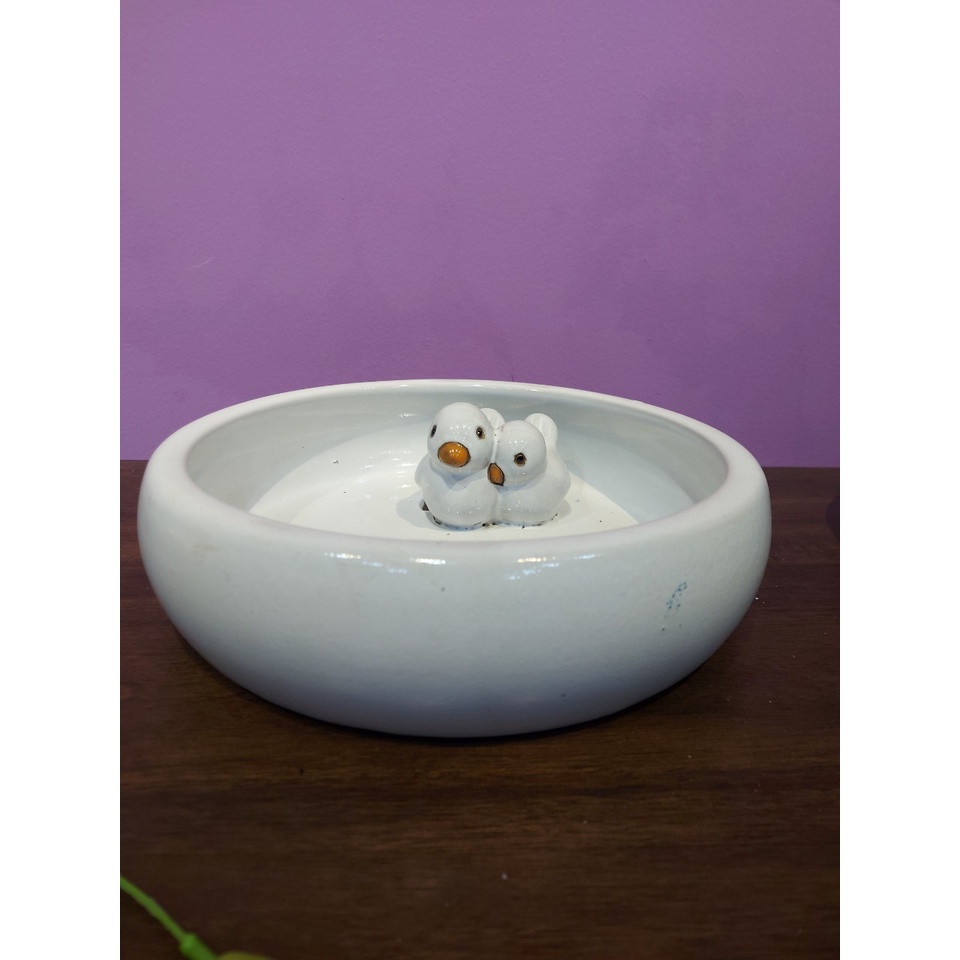 Đồ gốm sứ trang trí nhà cửa, sân vườn: Chậu cảnh vịt con