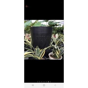 Combo 10 chậu đen C10 hàng đẹp Kt miệng 25cmx cao 21cm