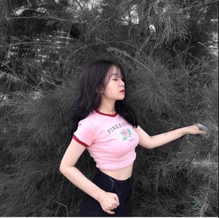 Áo Croptop PinkRose ( chất co dãn )