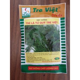 Hạt giống thì là tre việt - 20g