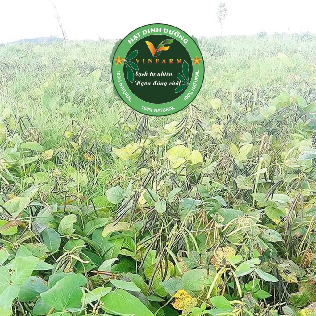 500g Đậu Đen Xanh Lòng Organic Giống Thuần Chủng