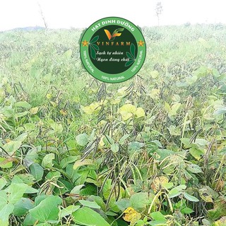 500g Đậu Xanh Organic Thuần Chủng