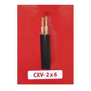 Dây điện CVV 2x6
