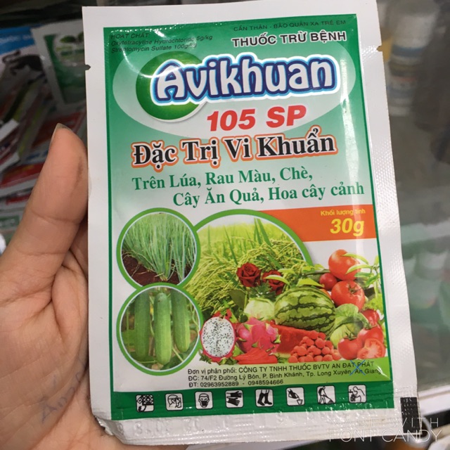 Đặc trị thối nhũn, các bệnh do vi khuẩn trên hoa , cây cảnh cây ăn quả- Avikhuan 105SP