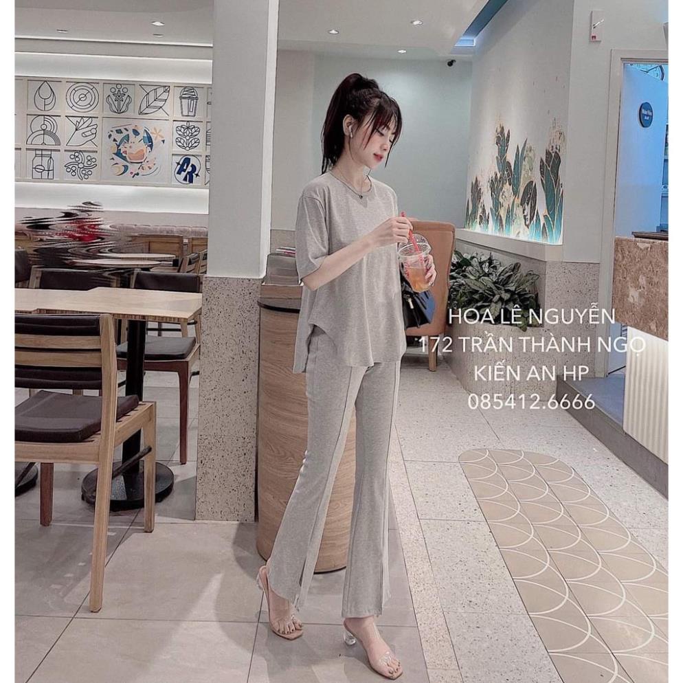 [ 𝐅𝐑𝐄𝐄 𝐒𝐇𝐈𝐏 ] ĐỒ BỘ NỮ COTTON VẠT BẦU QUẦN ỐNG LOE