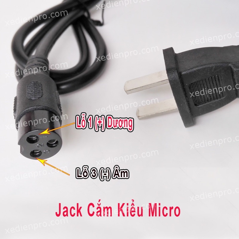 Sạc xe đạp điện lăn điện 24V12Ah rack cắm micro