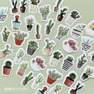 HỘP 45 STICKER CHẬU HOA VER1