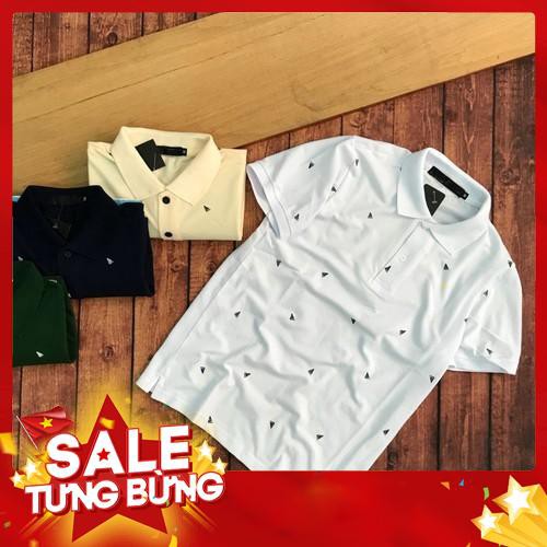 Áo thun nam có cổ họa tiết lá bay cực đẹp AXK032 - Hàng nhập khẩu