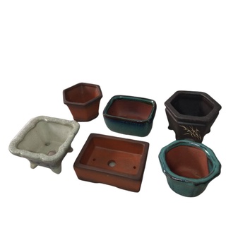 COMBO CHẬU MINI 6 CÁI ( có thể thay đổi màu và mẫu tuỳ đợt hàng )