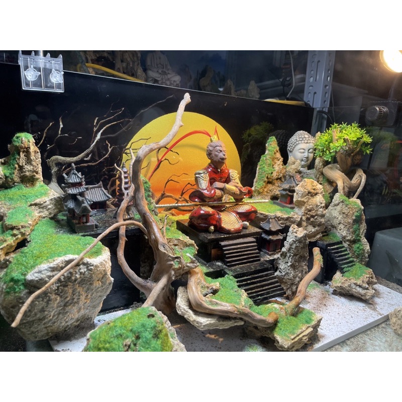 Hồ cá thuỷ sinh, tiểu cảnh Tề Thiên phong cách Kelsey