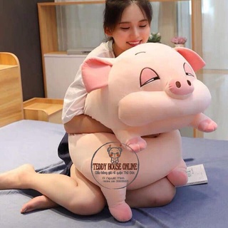Gấu nhồi bông cao cấp heo Sumo với gương mặt phê ngủ, buồn ngủ.