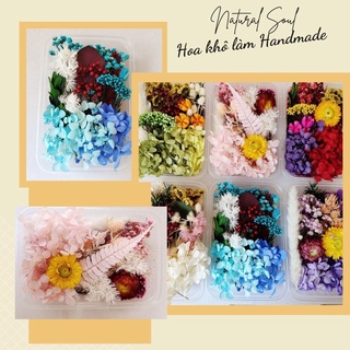 Hoa Khô Làm Handmade Giá Sỉ - Natural Soul Shop