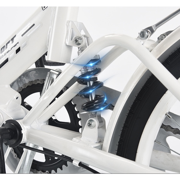 Xe đạp gấp gọn thể thao chính hãng cho cho gia đình