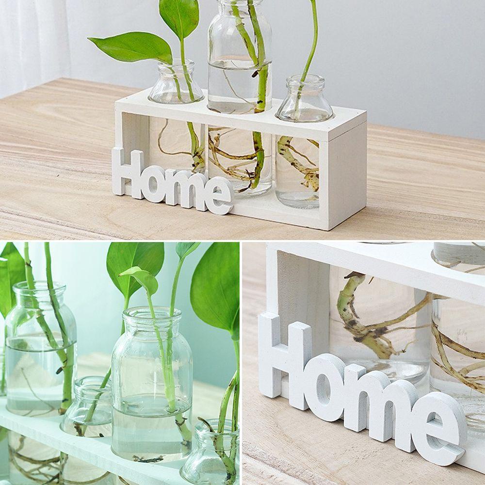Chậu Trồng Cây Thủy Canh Để Bàn Trang Trí Nhà Cửa