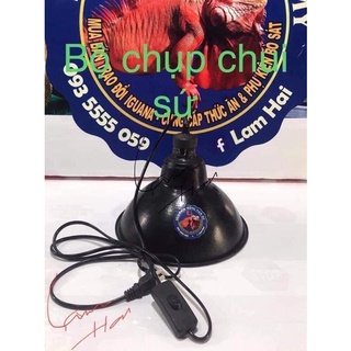 CHỤP ĐÈN SƯỞI CHO BÒ SÁT