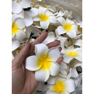 [HOT] HOA SỨ KẸP TÓC ĐI BIỂN 2020