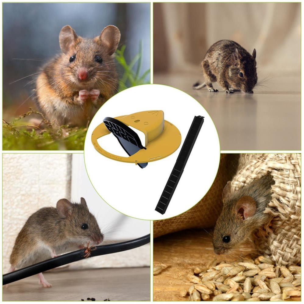 Bẫy chuột thông minh bằng nhựa, nắp trượt tự động bập bênh không hoá chất an toàn cho sức khoẻ và vât nuôi