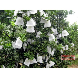 SET 10 Túi bọc trái cây bằng vải không dệt chuyên dùng bọc Xoài cát chu, Ổi, Cam, Na, Bơ, Mãng cầu, Vú Sữa - Chính hãng