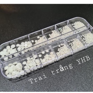 Trai nửa YHB mix size khay