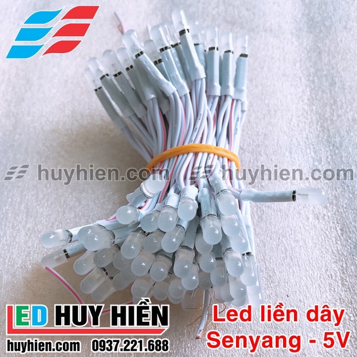 Led liền dây 100 Led JIYI màu trắng, Led liền dây đồng 100 Led chất lượng