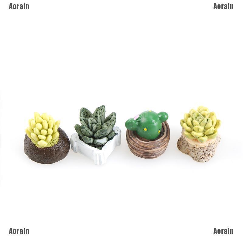 Bộ 4 Khu Vườn mini