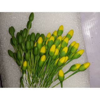 Bộ sản phẩm làm hoa mai