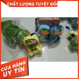 Ếch xanh pepe lai picachu - Hàng độc lạ Pepe Frog