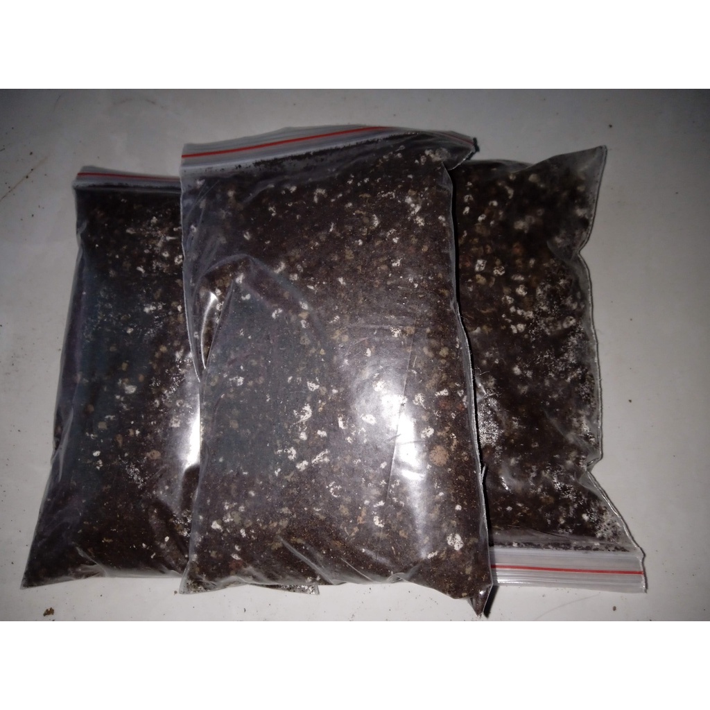 200gr/300gr hỗn hợp đất trồng xương rồng, sen đá chuẩn Havaca
