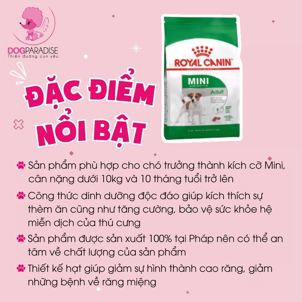 Thức ăn hạt dành cho chó kích cỡ nhỏ tuổi trưởng thành Royal Canin Mini Adult 800g