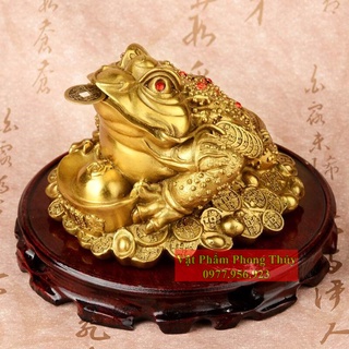 Thiềm Thừ - Cóc ngậm tiền Đồng Nguyên chất Tài Lộc 18cm
