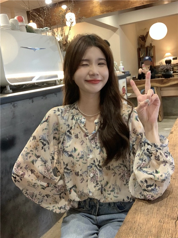 Áo Sơ Mi Chiffon Cổ Tròn Dài Tay Dáng Rộng In Hoa Thời Trang Sành Điệu 54584