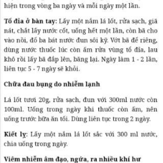25 Cành lá nốt giống