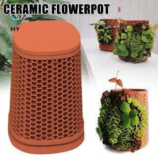 Chậu Gốm Trồng Cây Nhỏ Sáng Tạo Trang Trí Nhà Cửa