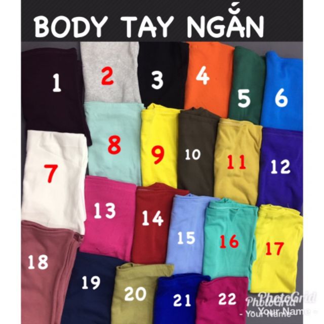 Áo thun gân body tay ngắn.