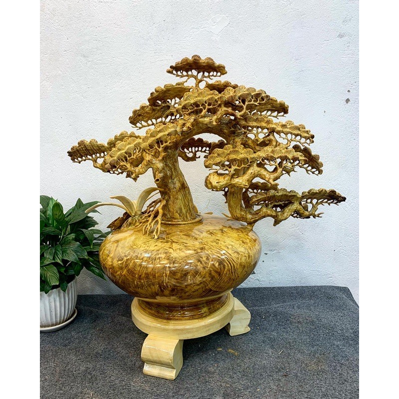 [Tượng VIP] Bình tùng bonsai gỗ nu kháo