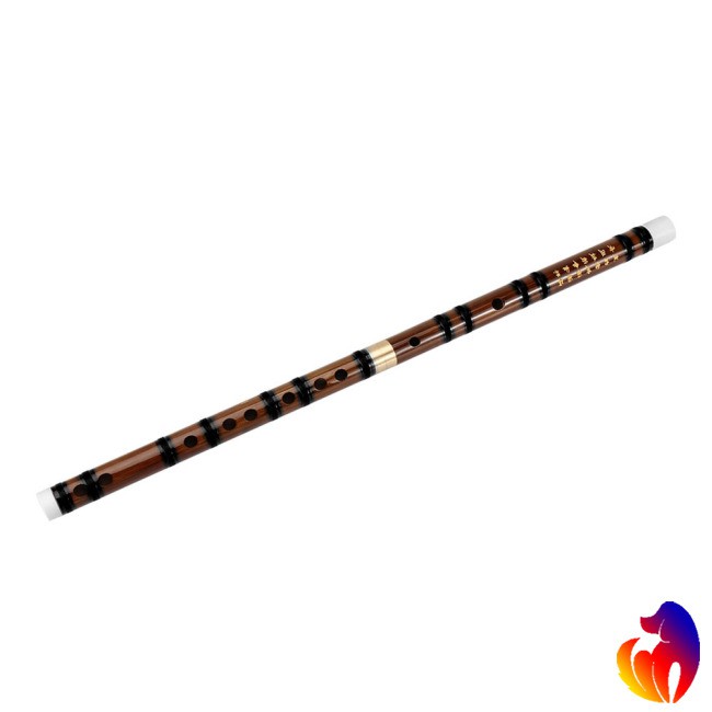 Sáo trúc âm D/ E/ F/ G lỗ màu đen nhạc cụ truyền thống Trung Hoa