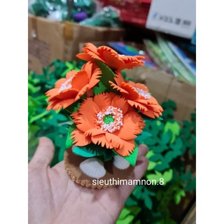 Khóm hoa nhỏ
