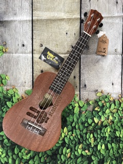 Đàn Ukulele Concert Thỏ Rabbit ❤️