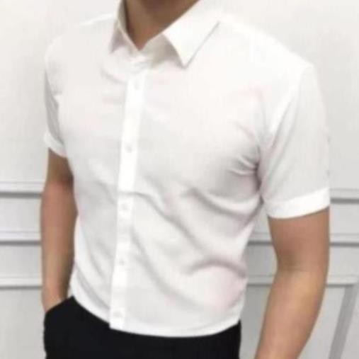 Áo sơ mi nam Cộc Tay Trắng F8888 loại đẹp