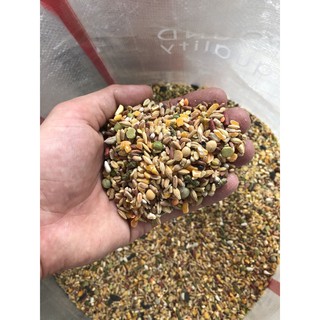 thức ăn cho gà, chim (ngủ cốc trộn sẵn dành cho gà đá và chim)