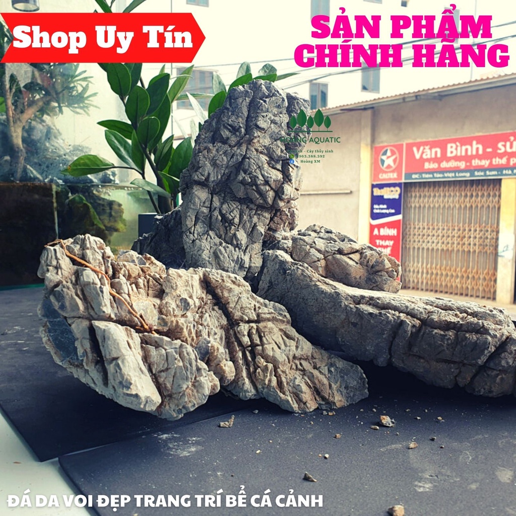 Đá Da Voi Đẹp | Trang trí Bể Cá Thủy Sinh, Phong Cách Biotope, Iwagumi